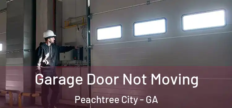  Garage Door Not Moving Peachtree City - GA