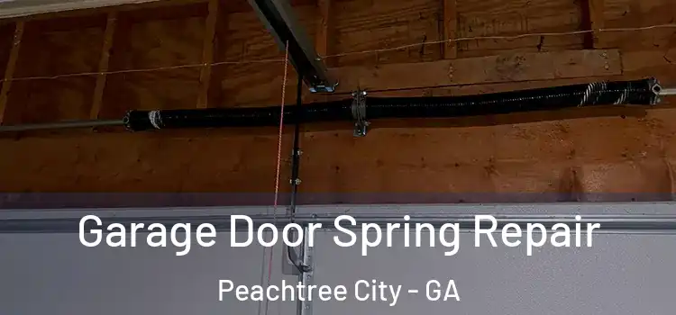  Garage Door Spring Repair Peachtree City - GA