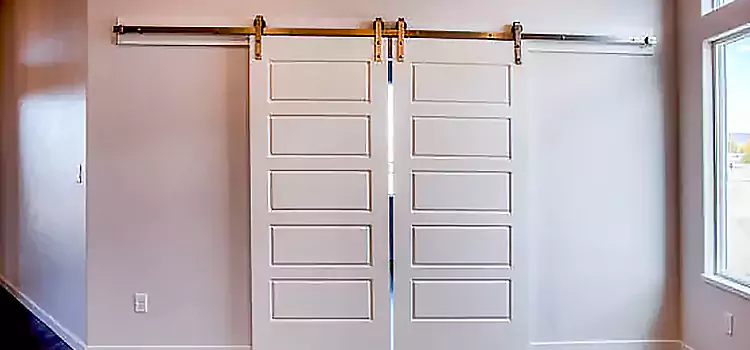 Glass Barn Door with Installation Hardware Kit Peachtree City