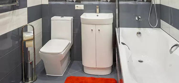 Hansgrohe Shaving Mirror Peachtree City